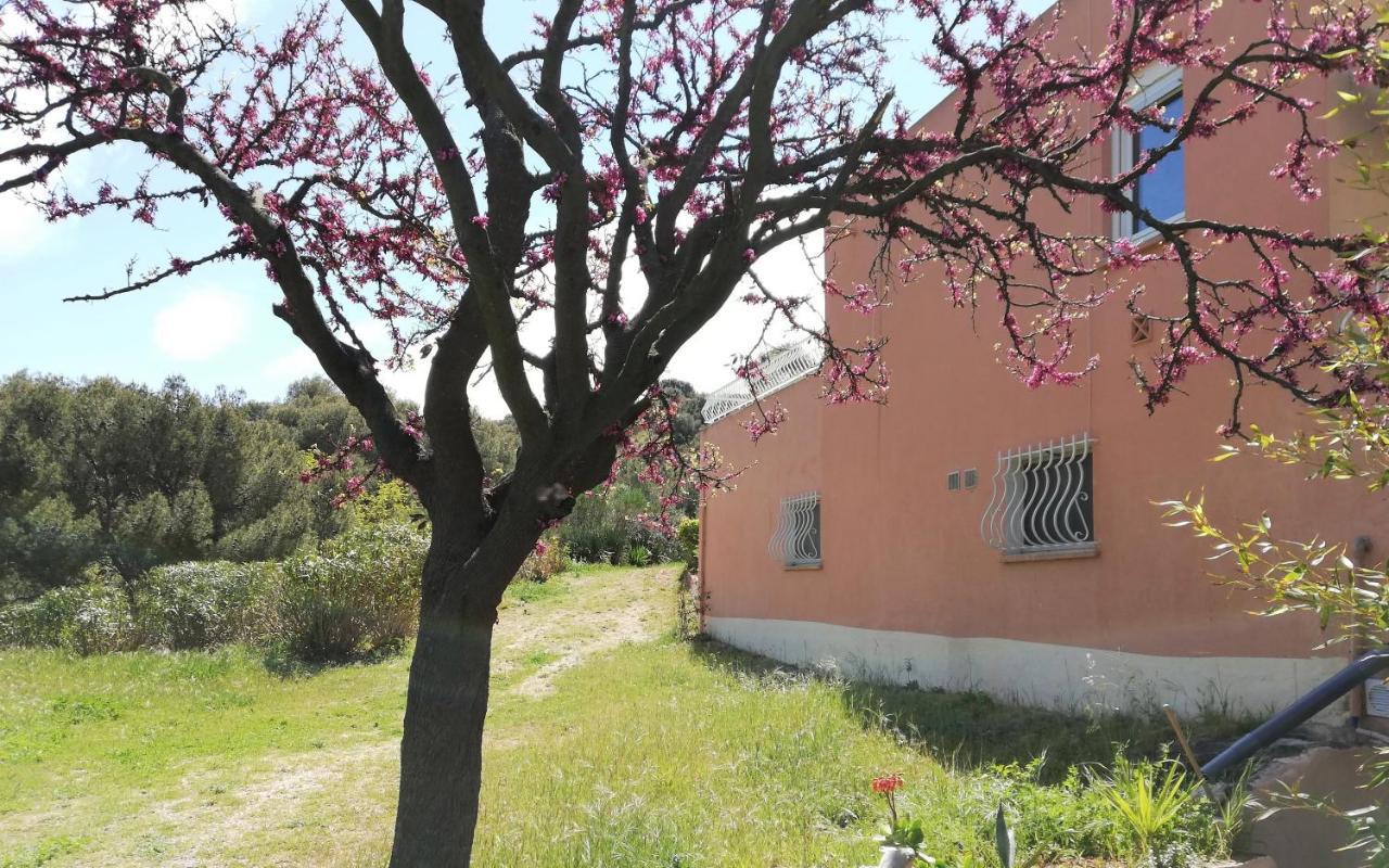 Studio 28M2 Climatise,Wifi, Proche Des Calanques,Plages La Ciotat Kültér fotó