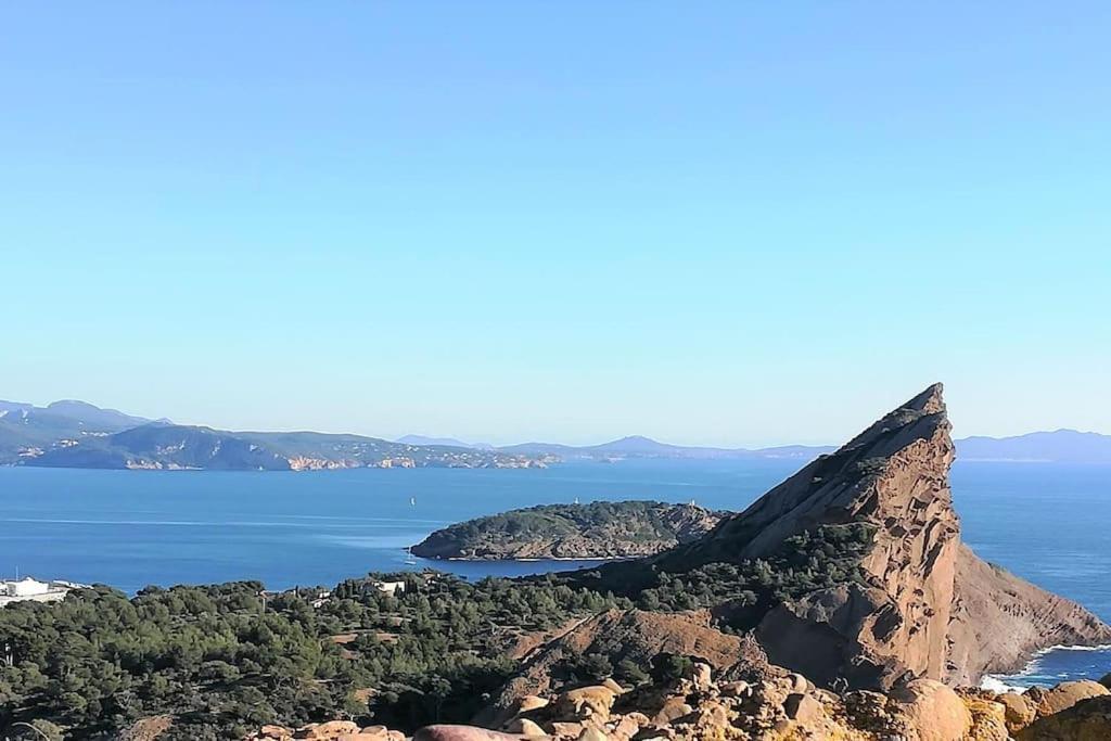 Studio 28M2 Climatise,Wifi, Proche Des Calanques,Plages La Ciotat Kültér fotó